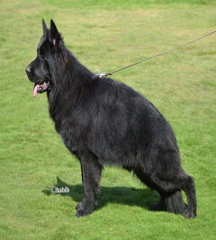 category