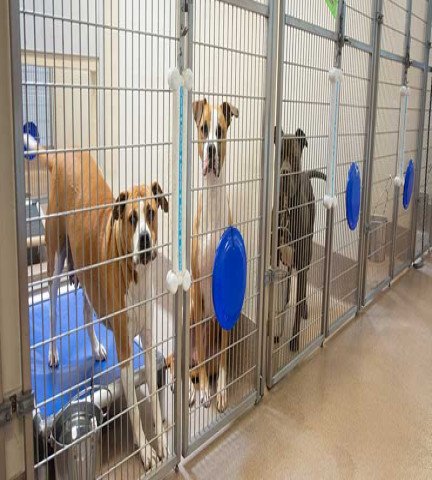Shelter