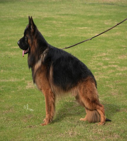 category